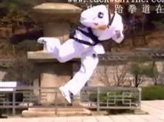 跆拳道腿法教学视频-韩国高手跆拳道腿法教学视频学习下载