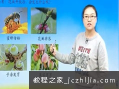 初二(八年级)生物下册课本知识点归纳同步提高视频课程(下学期 16讲)