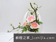 [花艺知识提升]花才鲜花的认识与花束蝴蝶结的打法教学视频(14讲 含图库)