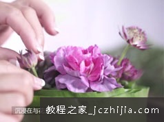 [家庭花艺]明星花艺师家庭插花小技巧初级自学视频教程(17讲)