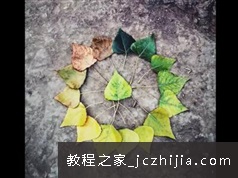 《手机拍摄专业培训课程》全套教学视频（7集）