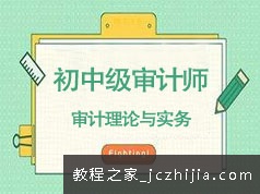 2020初中级审计师考试审计理论与实务题目习题解析班视频课程(30讲)