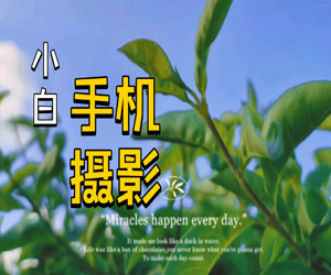 【精华集锦】零基础学习，46集全方位教授手机摄影技巧，带你成为手机摄影高手！