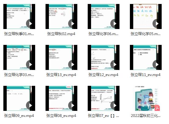 初中化学张立琛2022秋季初三化学秋季系统班13讲带讲义