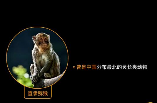 乐乐初中生物七八年级全+生物大百科191集，探索生物奥秘！