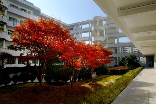 价值6千元诸葛学堂窦昕大语文视频讲义课练，带你探索语文之美！
