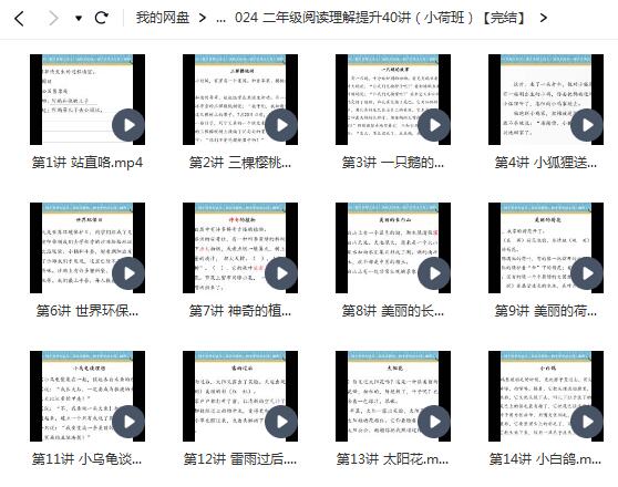 二年级阅读理解提升40讲，轻松突破阅读难题！（小荷班完结）